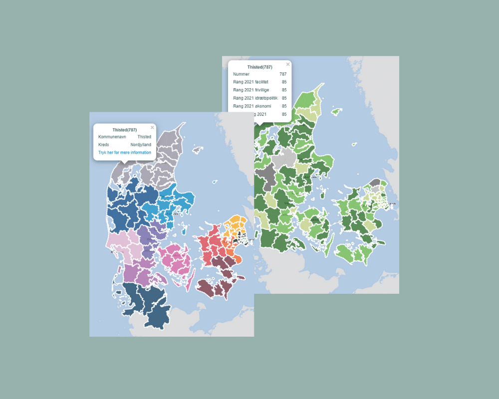 Dansk Skoleidræt Sydslesvig