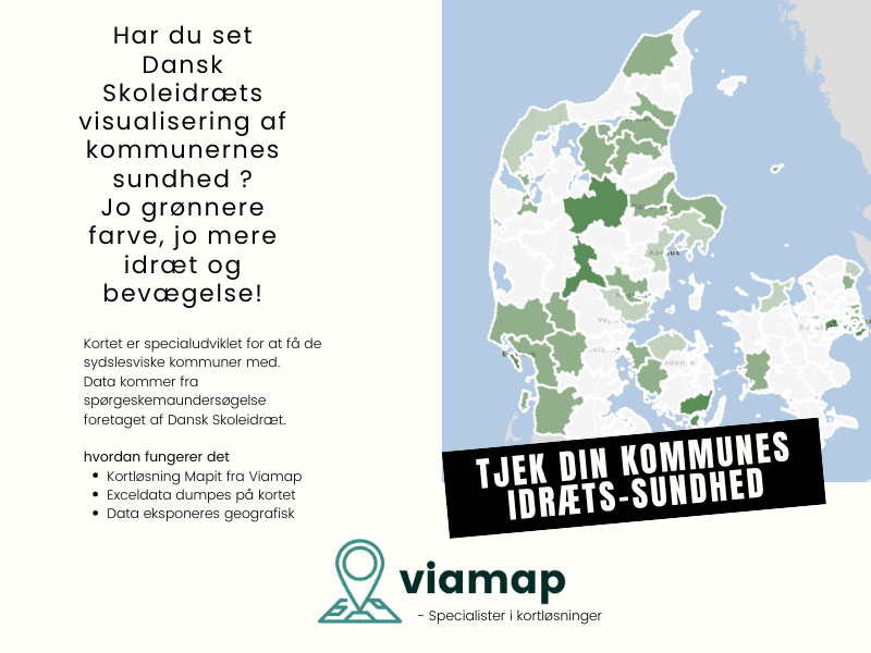 Dansk Skoleidraet