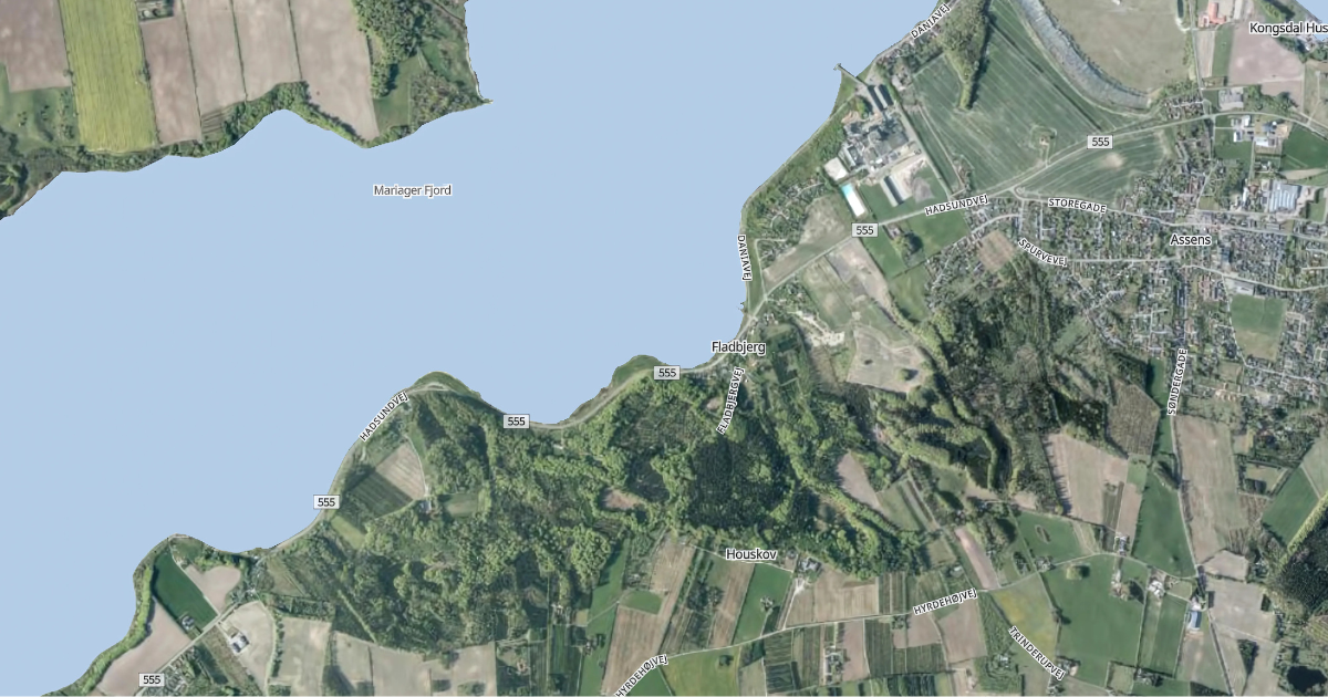 Ortofoto Mariager Fjord